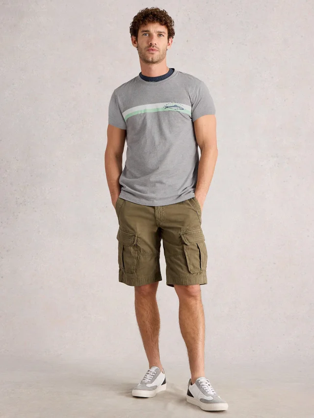 Rayures poisson graphiques Abersoch