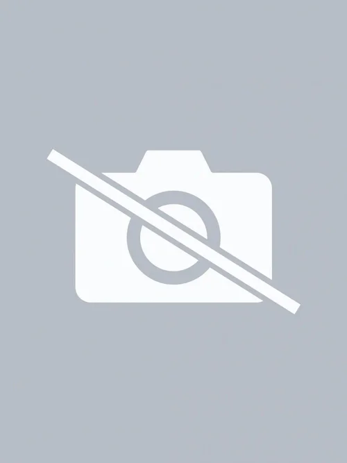 Chaussettes confortables pour homme en boîte Image 4