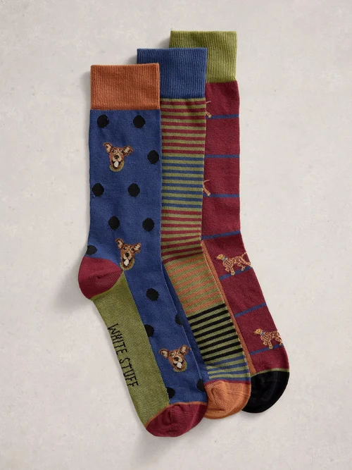 Lot de 3 paires de chaussettes rayées pour chien - Brown Mlt - 44-46 Image 1