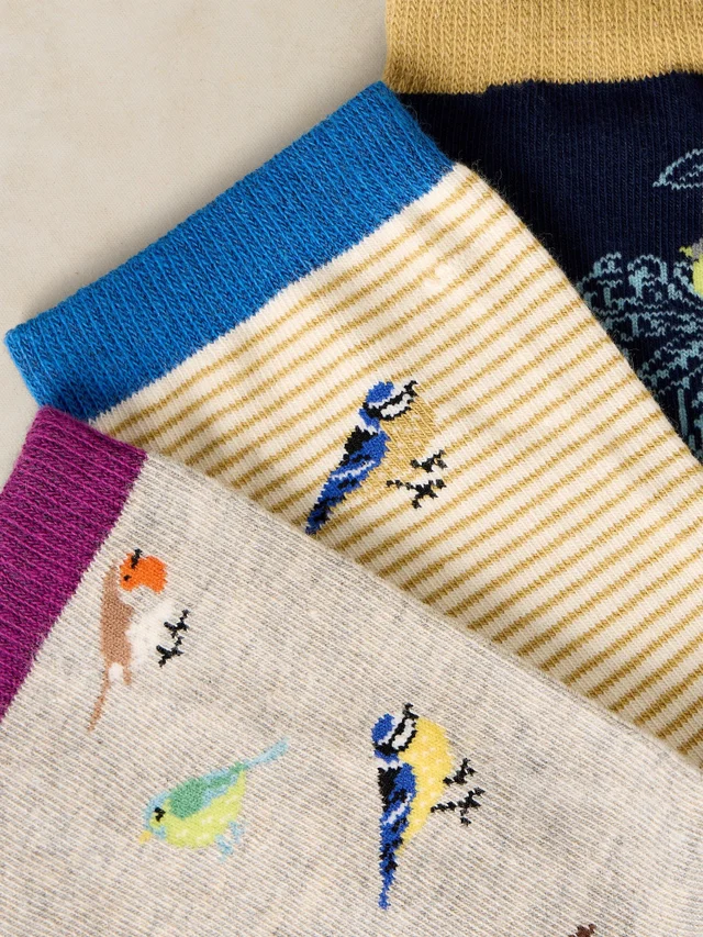 Lot de 3 Chaussettes Cheville Oiseaux de Jardin