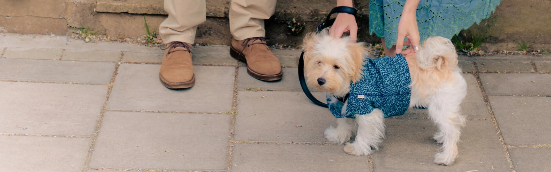 TRAVAILLER CHEZ WHITE STUFF: Notre bureau « dog friendly » est situé à Oval, au sud de Londres. Nos designers, nos acheteurs, nos équipes de marketing et de site web y sont tous installés. Notre entrepôt de distribution et notre centre de service clientèle sont situés à Leicester. Nous employons également du personnel à temps plein et à temps partiel dans plus de 120 magasins au Royaume-Uni.