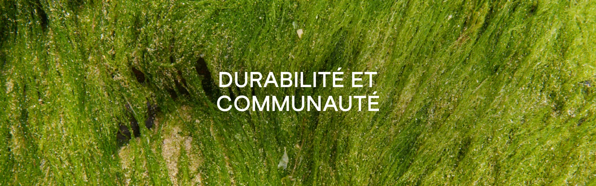IL NE S'AGIT PAS SEULEMENT DE VENDRE DE LA MODE