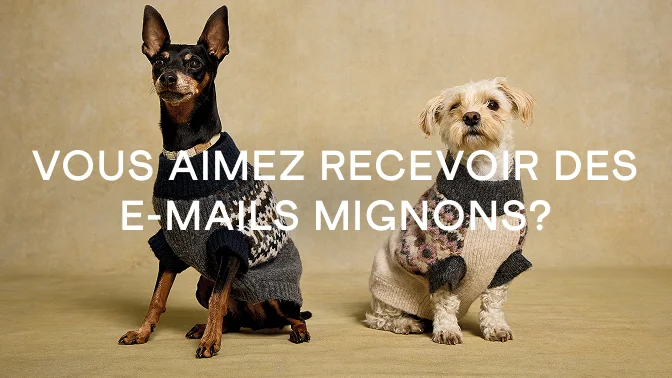 Vous aimez recevoir des e-mails mignons