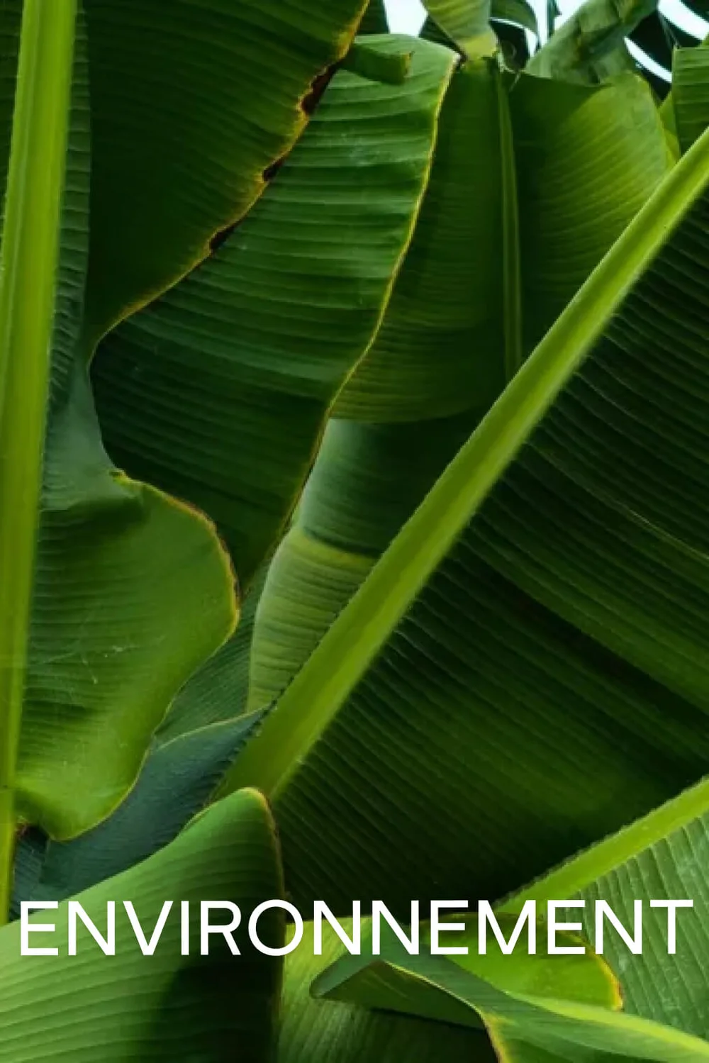 Environnement